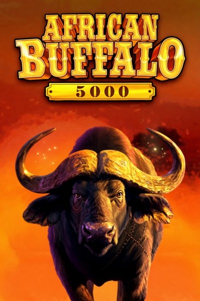 Naslovnica African Buffalo 5000 u predvorju Betwesta